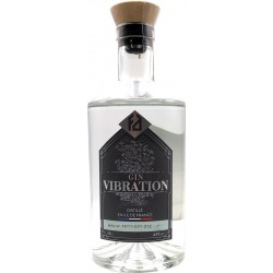 Gin premium vibration - la fabrique à alcools