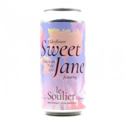 Bière Ice Breaker Sweet Jane