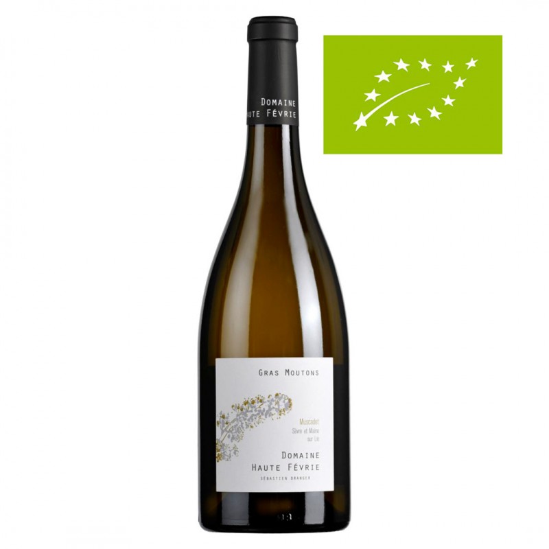 Muscadet-S&M-Sur-Lie-Gras-Moutons.-Dom.-Haute-Févrie-Bio