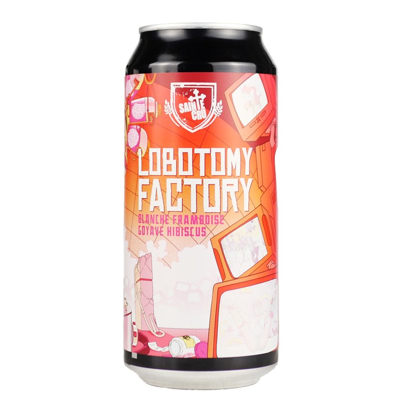 Sainte-Cru-Lobotomy-Factory