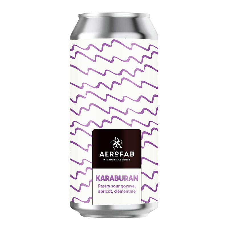 Bière-Aerofab-Karaburan-Sour