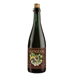 Lupulus brune - 75 cl - Drinks Explorer